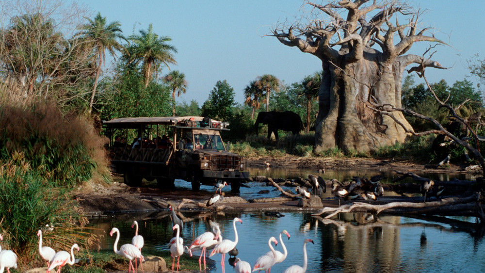 Disney em 15 dicas para você